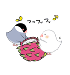 もこもこ文鳥の日常会話スタンプです。（個別スタンプ：20）