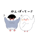 もこもこ文鳥の日常会話スタンプです。（個別スタンプ：34）