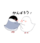 もこもこ文鳥の日常会話スタンプです。（個別スタンプ：35）