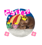 ねこまーち アクアマリンスター（個別スタンプ：5）