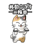 猫大好き！（大）その36(お返事）（個別スタンプ：3）