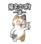 猫大好き！（大）その36(お返事）（個別スタンプ：8）