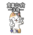 猫大好き！（大）その36(お返事）（個別スタンプ：10）