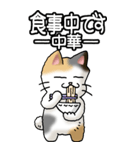 猫大好き！（大）その36(お返事）（個別スタンプ：11）