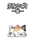 猫大好き！（大）その36(お返事）（個別スタンプ：16）