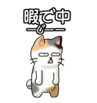 猫大好き！（大）その36(お返事）（個別スタンプ：31）