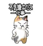 猫大好き！（大）その36(お返事）（個別スタンプ：37）