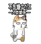 猫大好き！（大）その36(お返事）（個別スタンプ：38）