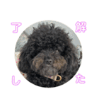 Hello I’m Theo3（個別スタンプ：2）