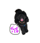 Hello I’m Theo3（個別スタンプ：9）