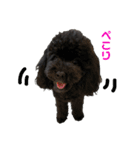 Hello I’m Theo3（個別スタンプ：16）