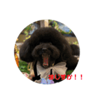 Hello I’m Theo3（個別スタンプ：17）