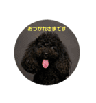 Hello I’m Theo3（個別スタンプ：19）