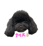 Hello I’m Theo3（個別スタンプ：20）