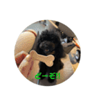 Hello I’m Theo3（個別スタンプ：24）
