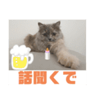 関西弁を話す猫（あまちゃん）（個別スタンプ：3）