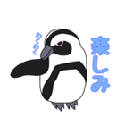 ペンペン 日常（個別スタンプ：24）