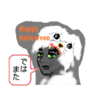 ハロウィン・クリスマスなど感謝いっぱい（個別スタンプ：21）