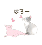 毎日ねこねこ、毎日キュート（個別スタンプ：4）