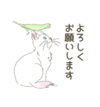 毎日ねこねこ、毎日キュート（個別スタンプ：21）