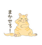 毎日ねこねこ、毎日キュート（個別スタンプ：24）