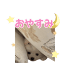 愛犬ミルク♥（個別スタンプ：2）