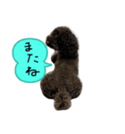 でかぷーオレオ（個別スタンプ：4）