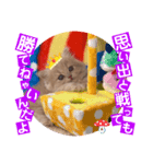 ねこまーち トライアンフ（個別スタンプ：8）