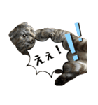 佐藤家の猫のペコ（個別スタンプ：10）