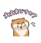 可愛い嘘のカワウソ16（個別スタンプ：13）