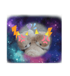 色々仲良し❣️（個別スタンプ：3）