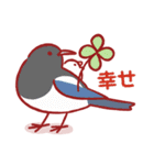 文鳥動物服（個別スタンプ：7）