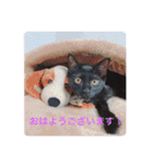 面白いスタンプ笑KHの迷言有り（個別スタンプ：1）