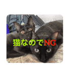 面白いスタンプ笑KHの迷言有り（個別スタンプ：3）
