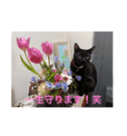 面白いスタンプ笑KHの迷言有り（個別スタンプ：6）
