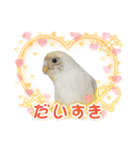セキセイインコのベル（個別スタンプ：11）