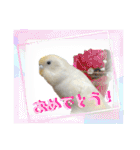 セキセイインコのベル（個別スタンプ：12）