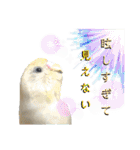 セキセイインコのベル（個別スタンプ：15）