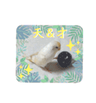 セキセイインコのベル（個別スタンプ：24）