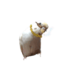セキセイインコのベル（個別スタンプ：34）