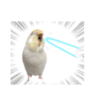 セキセイインコのベル（個別スタンプ：35）