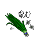 お野菜たちのダジャレに気づかない（個別スタンプ：24）