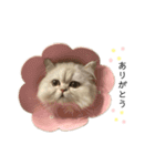 かわいいつなまよ（個別スタンプ：4）