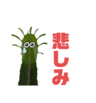 サボテンズ‼︎（個別スタンプ：5）