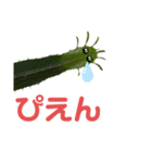 サボテンズ‼︎（個別スタンプ：6）