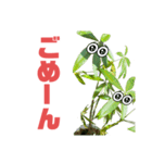 サボテンズ‼︎（個別スタンプ：8）