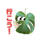 サボテンズ‼︎（個別スタンプ：11）