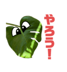 サボテンズ‼︎（個別スタンプ：12）