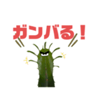 サボテンズ‼︎（個別スタンプ：14）