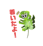 サボテンズ‼︎（個別スタンプ：20）